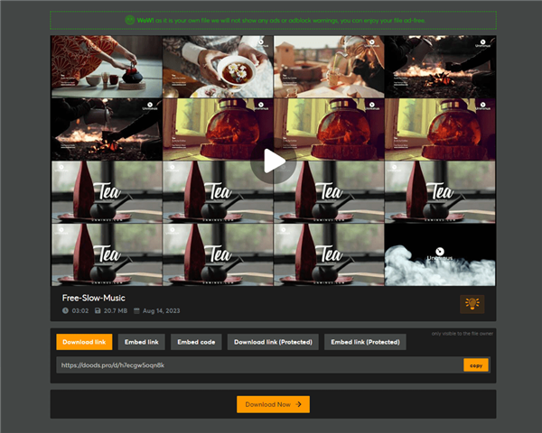 Download Videos in Doodstream