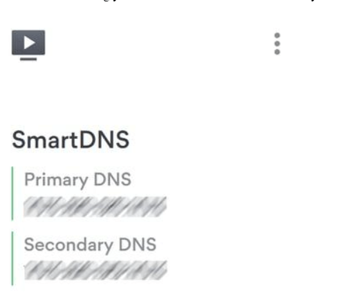 SmartDNS Is Active