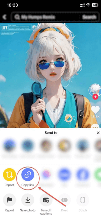 Copy Link in SnapTik