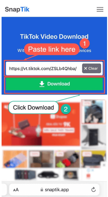 Paste the Link and Download