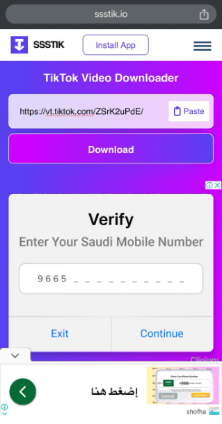 Copy the Video Link in SSSTIK