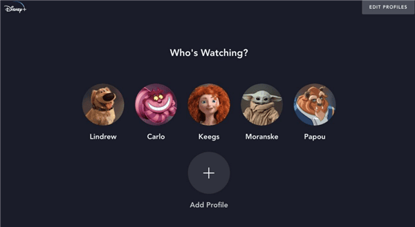 Shared Disney Plus Accounts