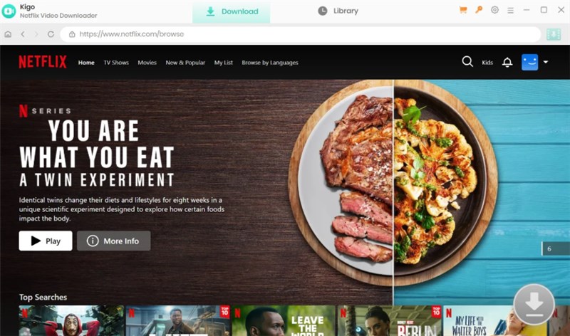 Kigo Netflix Downloader Interface