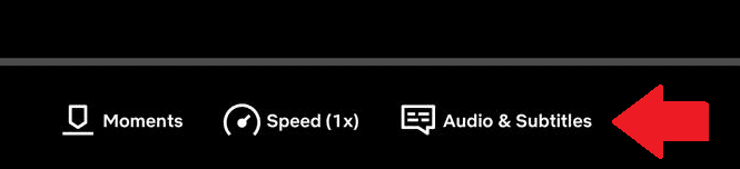 Netflix Subtitles Settings on iOS