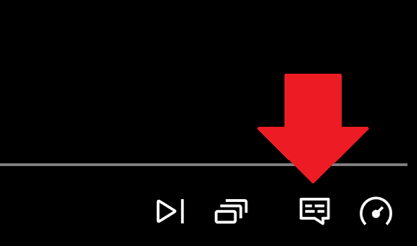 Netflix Subtitles Settings in Browser