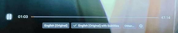 Netflix Subtitles Settings on TV