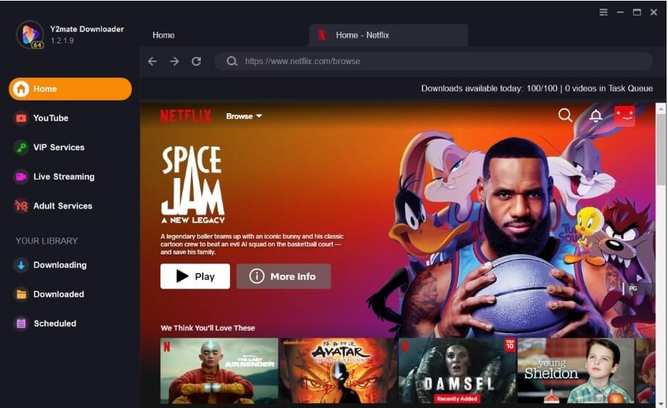 Choose Netflix Option