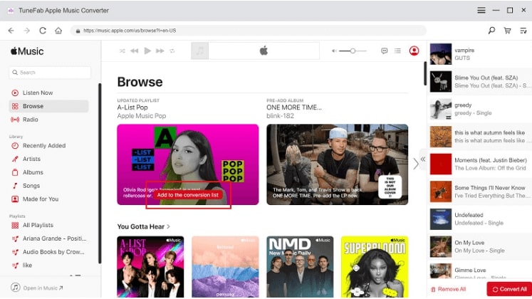 Click Add to Convert List