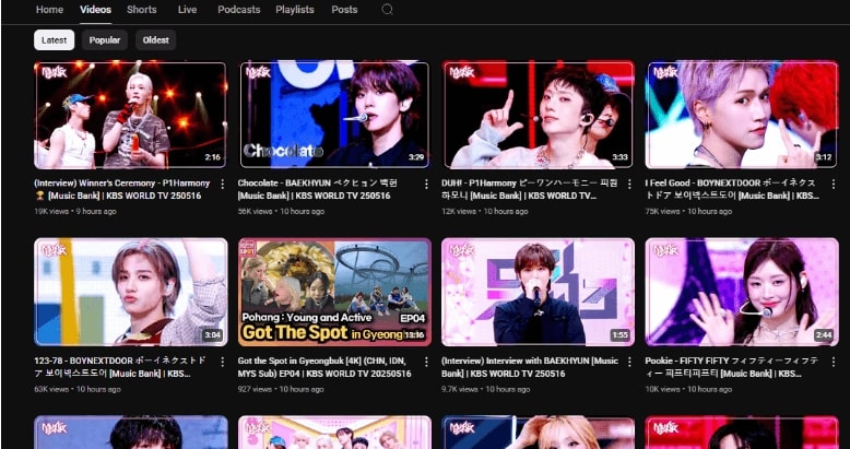 YouTube Interface