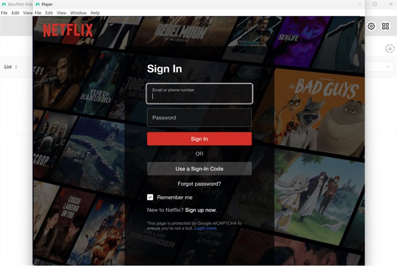 Sign in to Netflix Account
