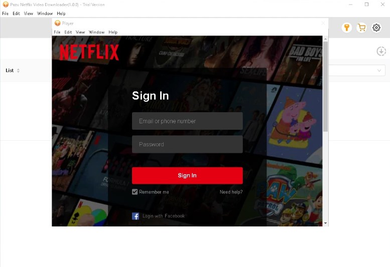 Log in to your Netflix account