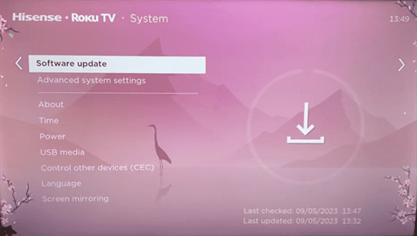 Roku System Update