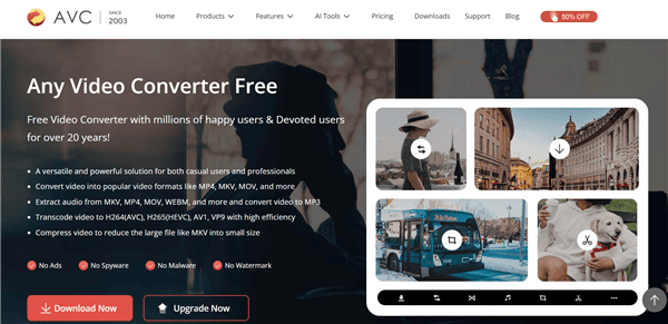 Any Video Converter