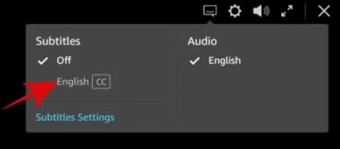 Amazon Prime Subtitle Settings