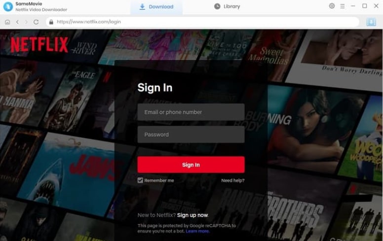 Log in to Your Netflix Account