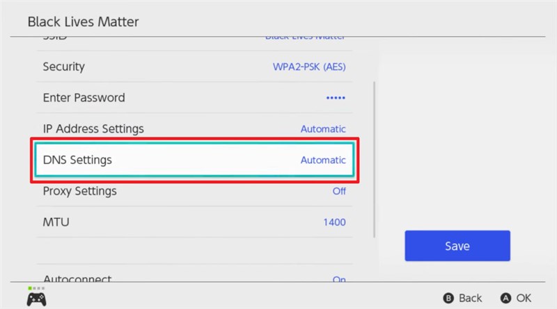 Choose DNS Settings