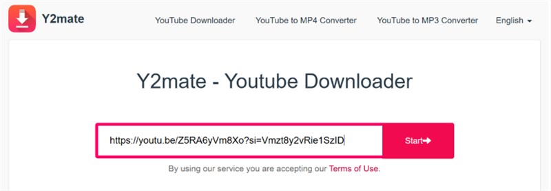 Paste Link in Y2mate
