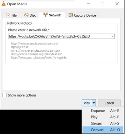 Click Convert