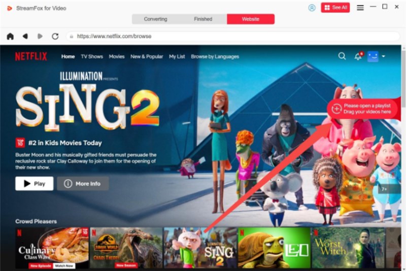 Choose Video to Download