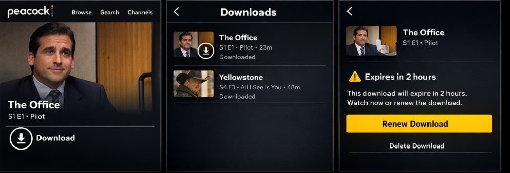 Download Peacock in App