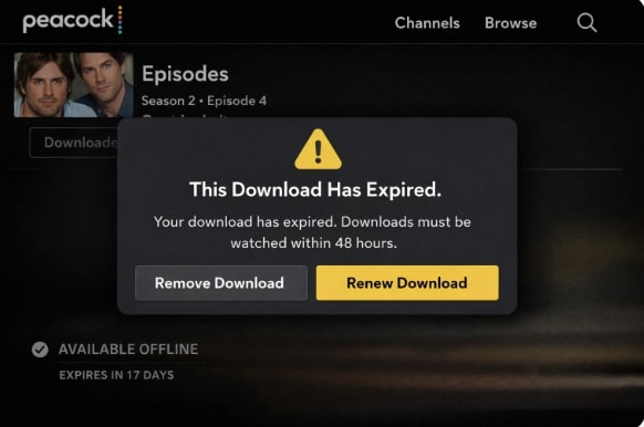 The Download Has Expired