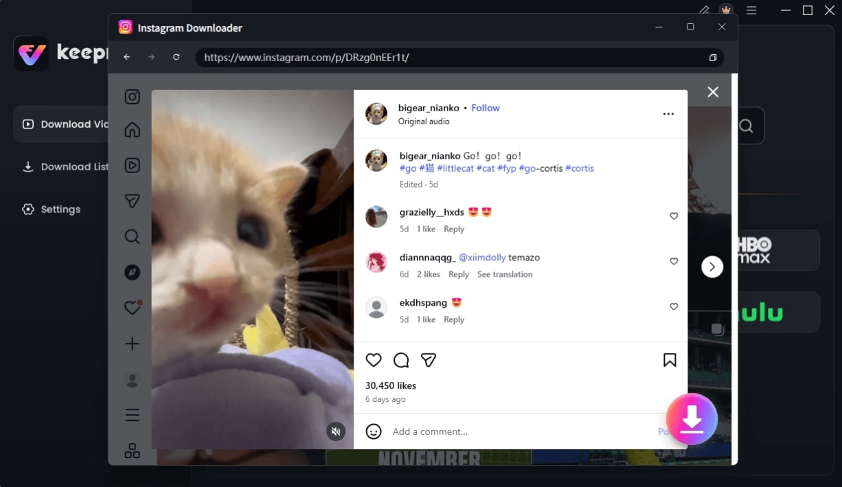 Choose Instagram Video and Click Download