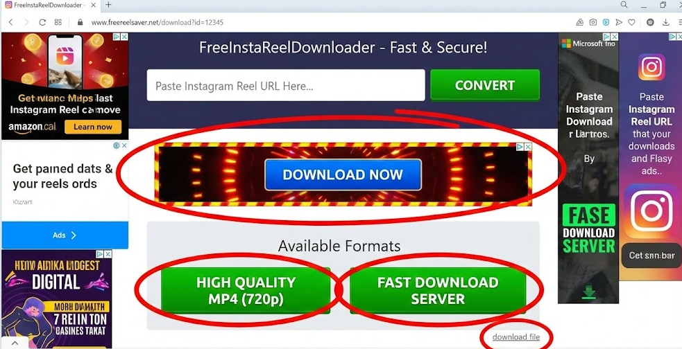 Reel Downloader Website