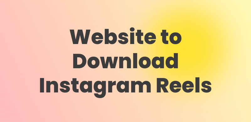 Website to Download Instagram Reels