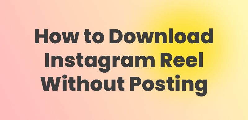 How to Download Instagram Reel Without Posting