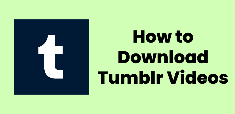 How to Download Tumblr Videos