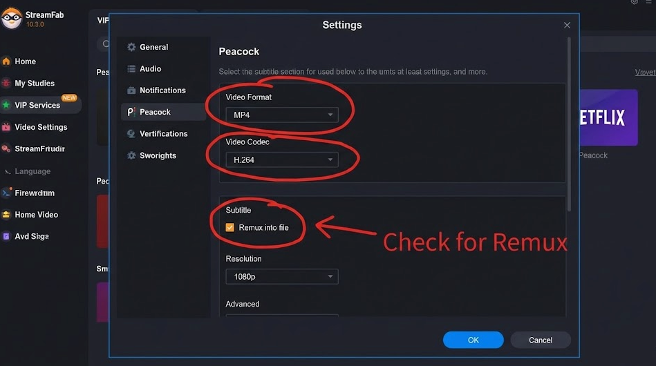 StreamFab Settings Menu
