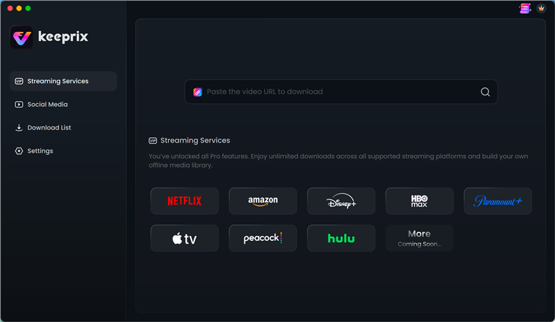 download from Netflix