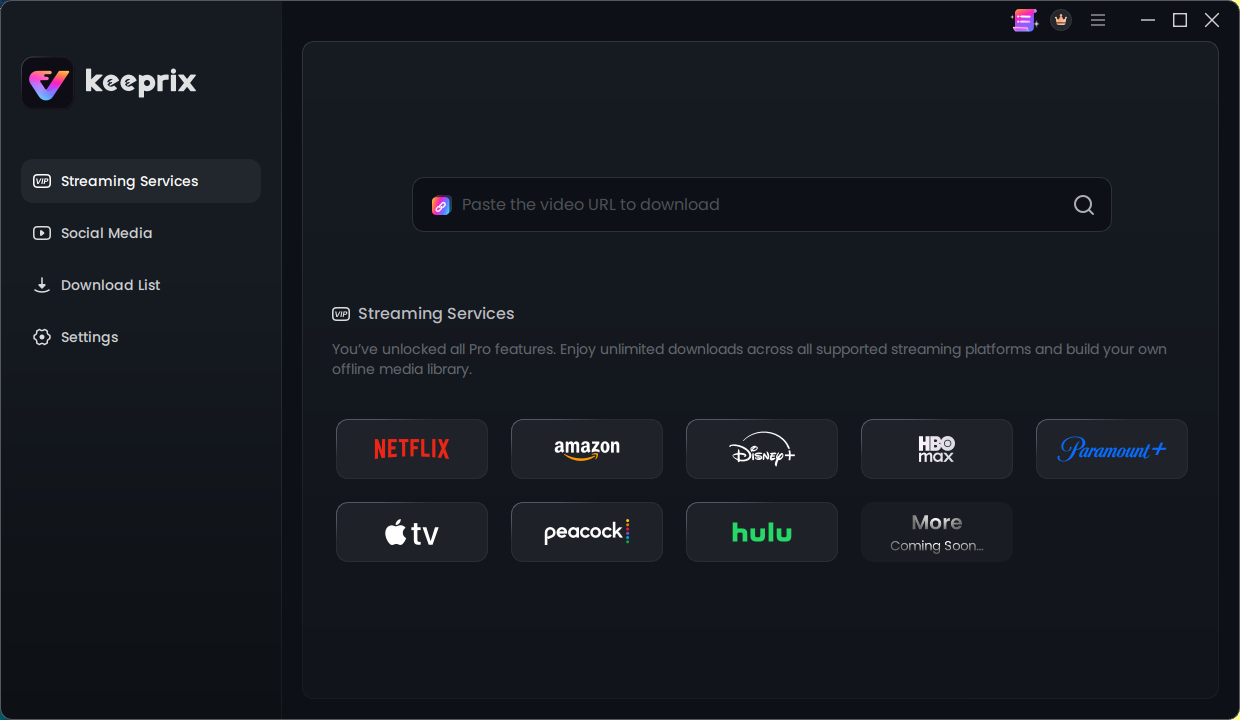 Netflix Page