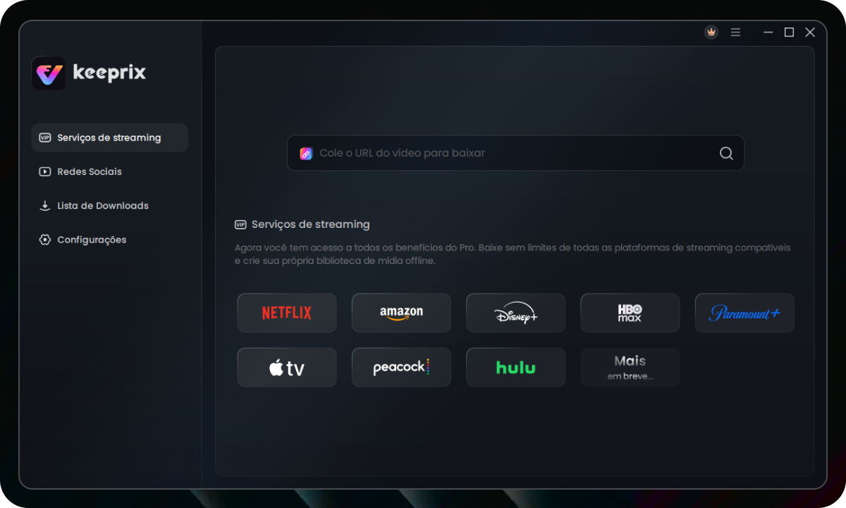 Baixe vídeos das principais plataformas