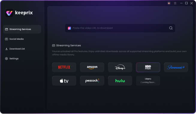 Keeprix Video Downloader product interface preview