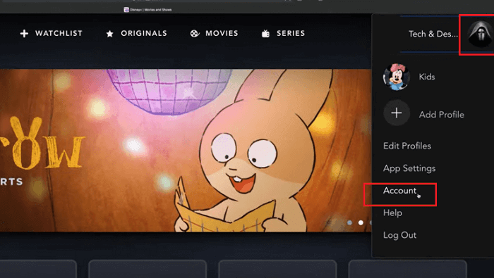 Disney Plus : Ouvrez tes informations de compte.