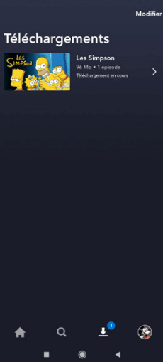 Liste des téléchargements sur Disney Plus