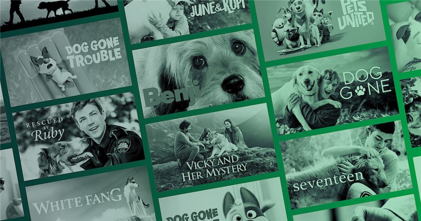 Dog Movies on Netflix
