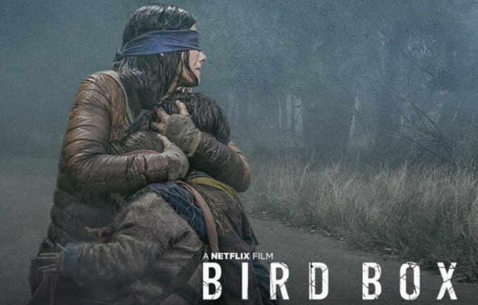 Bird Box