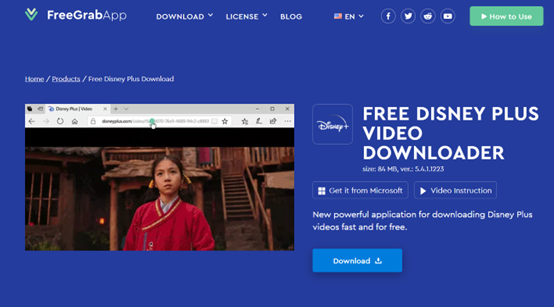 Disney Plus Downloader