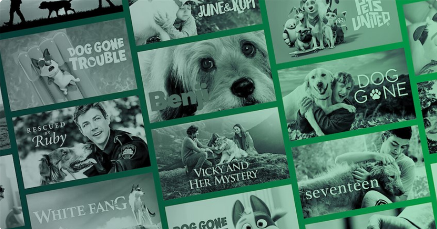 Hundefilme auf Netflix