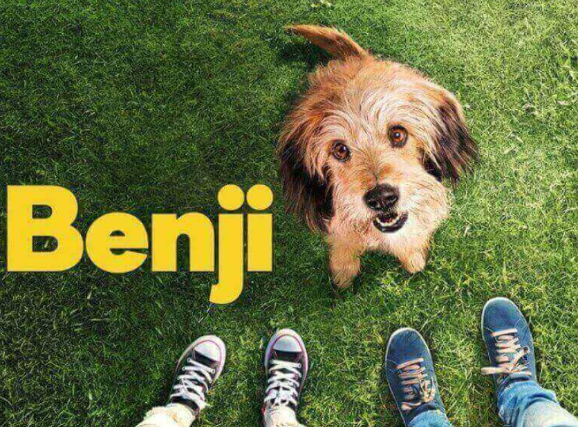 Benji Plakat