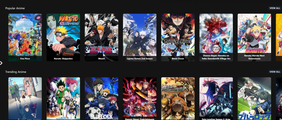 Animeflix Schnittstelle