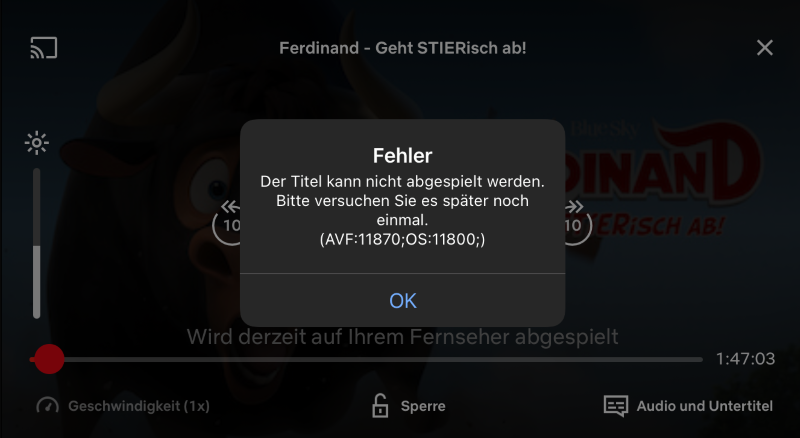 Netflix Airplay funktioniert nicht Fehler