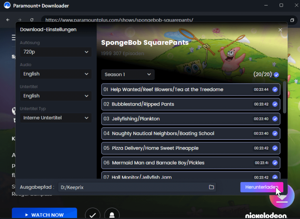 Benutzerdefinierte Einstellungen – Herunterladen