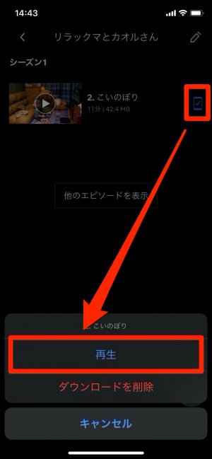 ダウンロード完了のアイコンをタップして再生を選ぶ