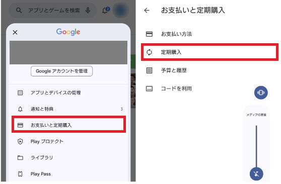 「定期購入」をタップ