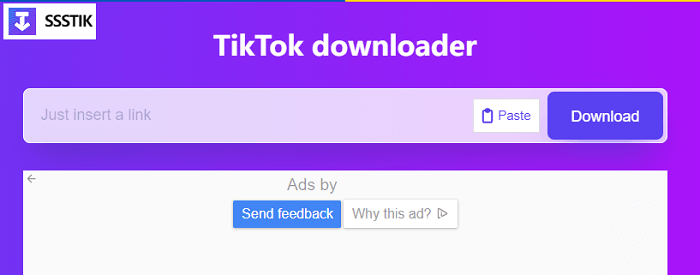 SSSTik