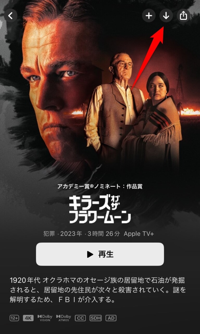 オフライン視聴